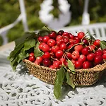 Il Canto Del Maggio فندق مبيت وإفطار