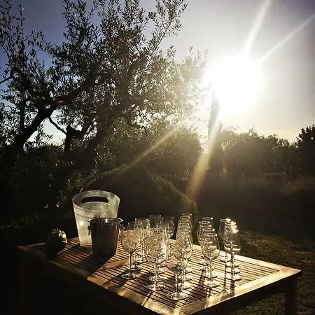 Il Canto Del Maggio